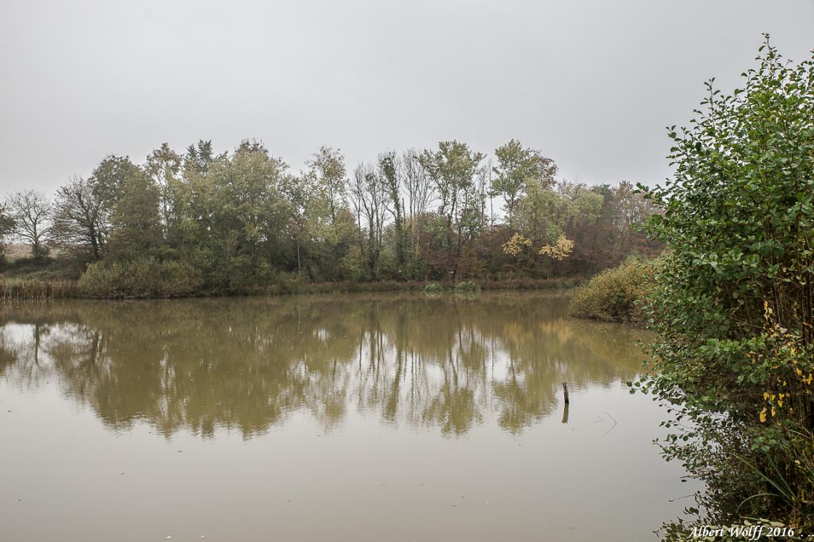 Etang Courlan  à Chaumergy