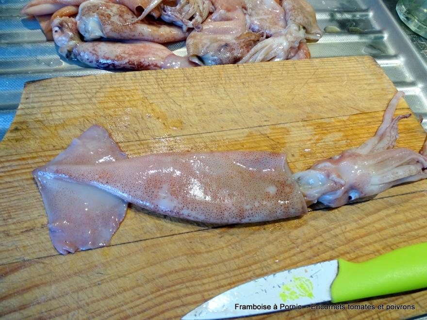 Encornets Tomates et Poivrons