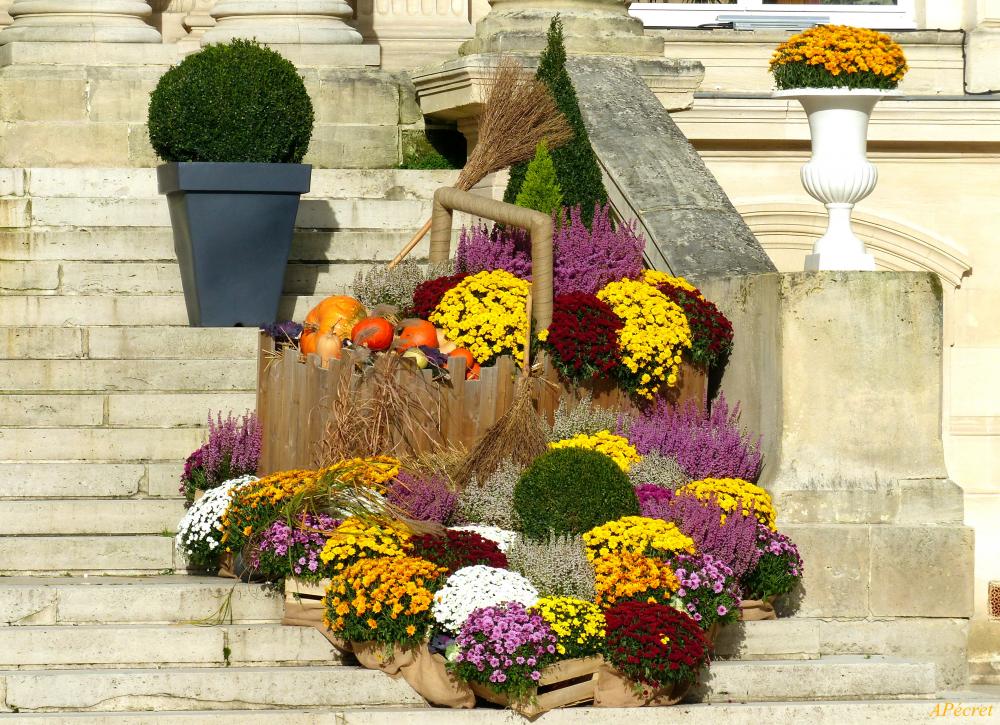 Et pof ! reconfinés ! 