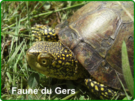 ╰⊱♥⊱╮ღ꧁ Département  27 ꧂ღ╭⊱♥≺