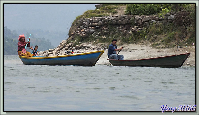 Blog de images-du-pays-des-ours : Images du Pays des Ours (et d'ailleurs ...), Batelière du Lac Phewa (Phewa Tal) - Pokhara - Népal