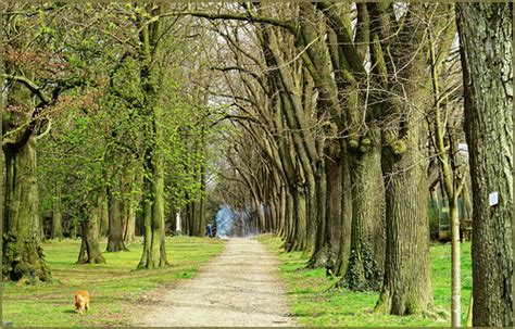 Feu de printemps, abbaye Notre-Dame de Brialmont, Tilff, E… | Flickr