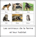 Vocabulaire - La ferme