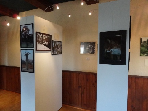 L'exposition "au détour des arbres" organisée par ARCE à Recey sur Ource..