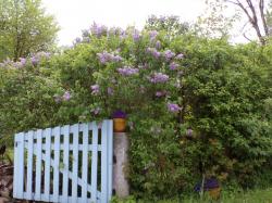 Coucou d'un samedi soir !!!!