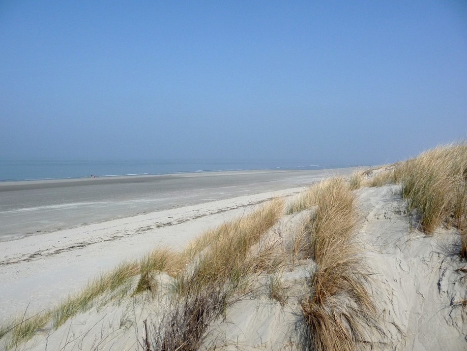 C'était début mars ...