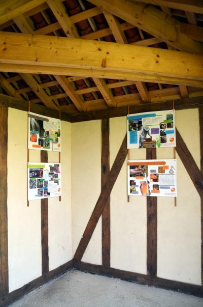 Visite du verger du Château de Montigny-sur-Aube