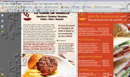 Identité visuelle (pour entreprises, structures et professionnels, suite...)