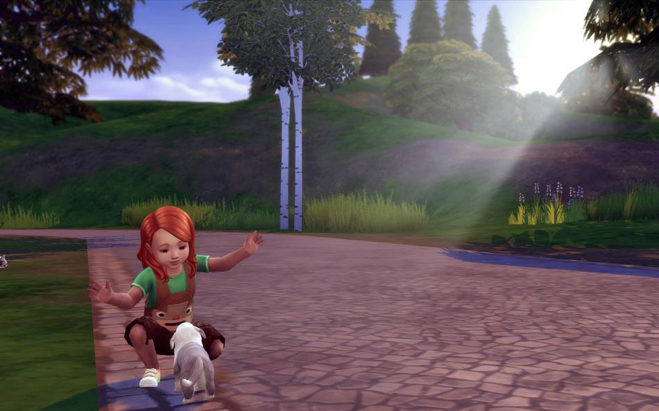 [CALF] Eté 3 - Semaine 13 - Jours 87 à 91