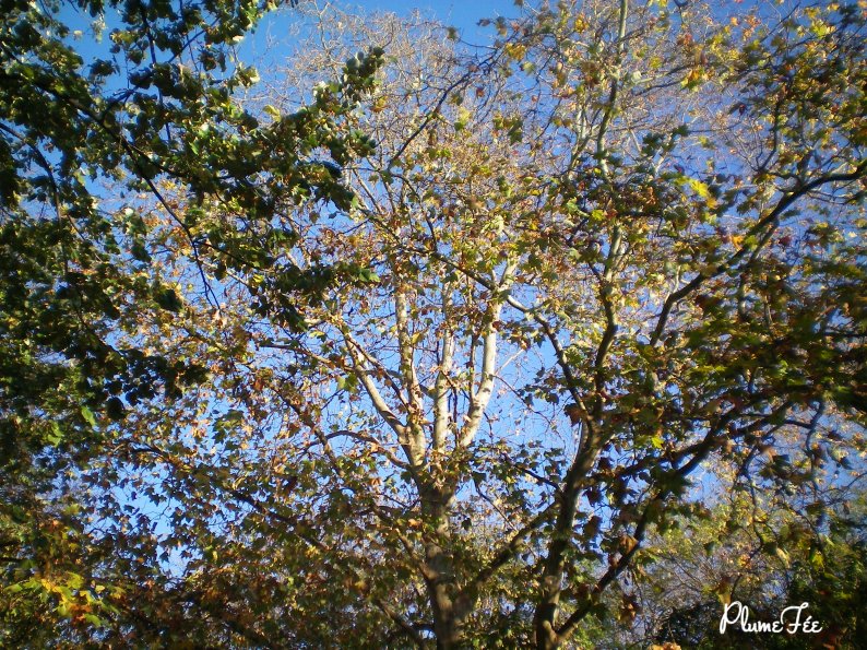 Image011.jpg