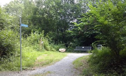 Ein Spaziergang und eine Spazierfahrt durch die Heimat: Solingen, Leichlingen, Opladen & die Balkantrasse