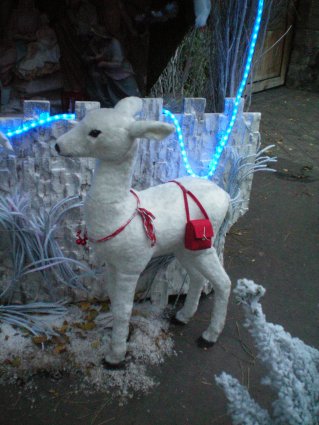 Image48.jpg
