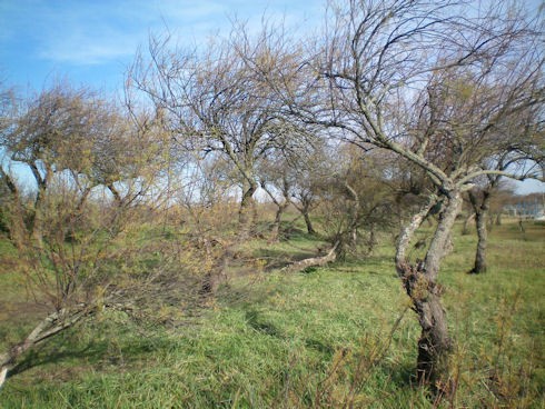 Image20