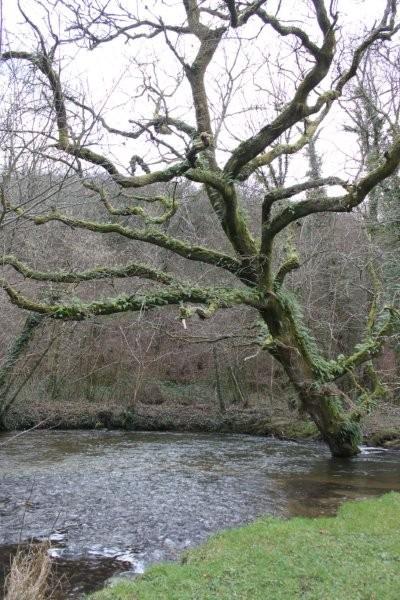 Viaduc de Daoulas (31)