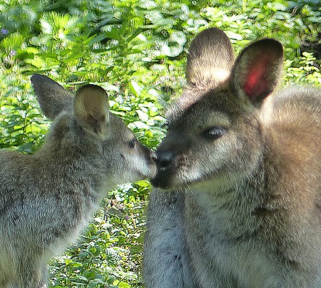 Cherche ciel bleu et soleil