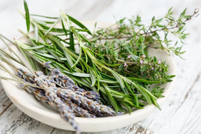 Plantes aromatiques  1ère partie