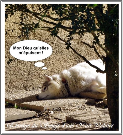 Portée de Lakmé (30 octobre 2018)