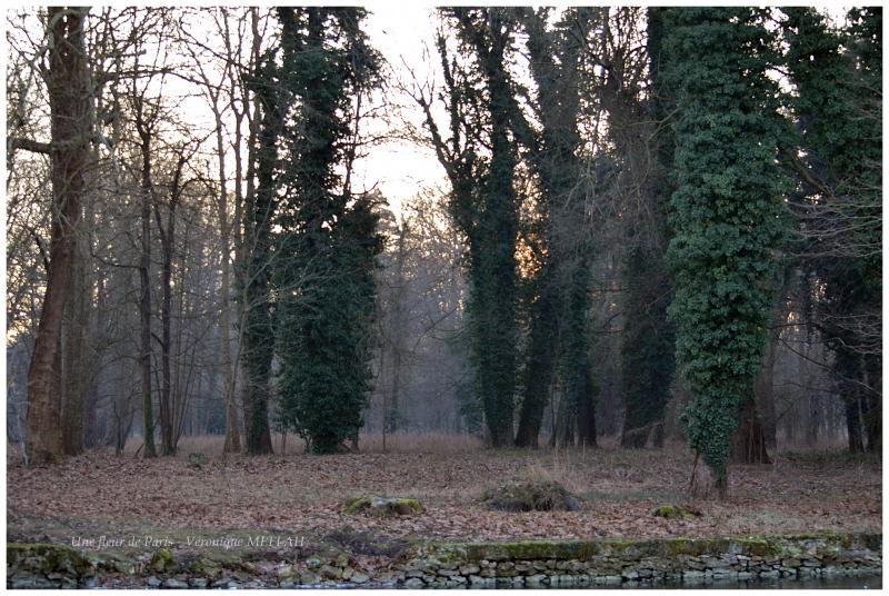 Rambouillet : Un soir d'hiver