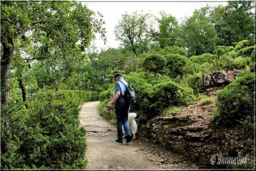 Les Jardins Suspendus de Marqueyssac Dordogne vers le Belvédère