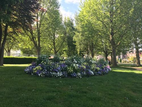 fleurs