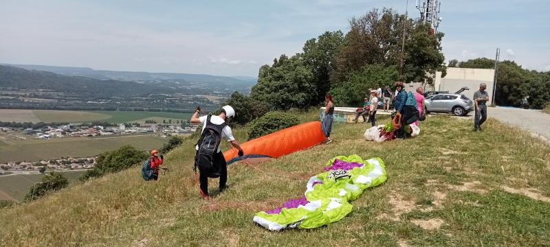 Un bi aux petits oignons