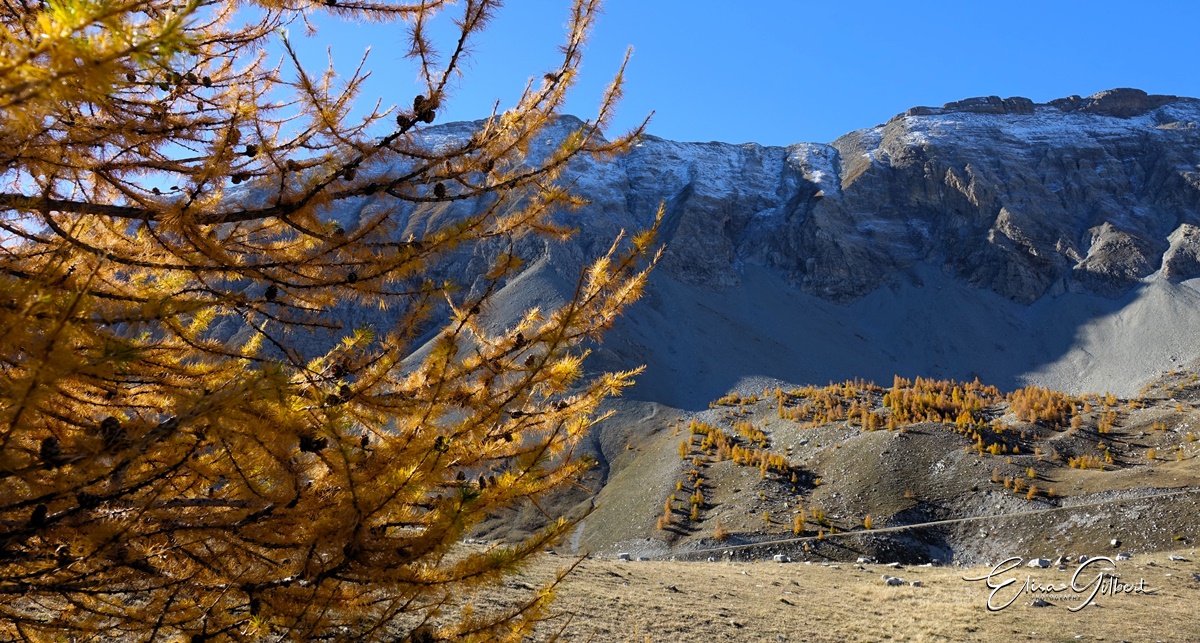 Dernier jour d'automne