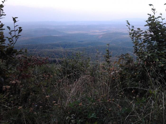 La Hongrie dans l'Europe