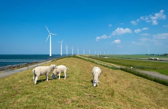 Les Pays-Bas dans l'Europe