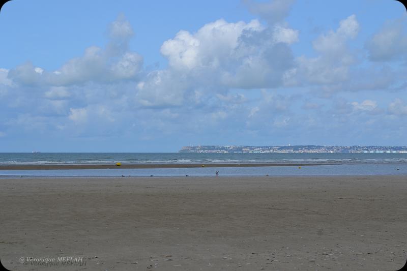 Trouville - Deauville : Portfolio