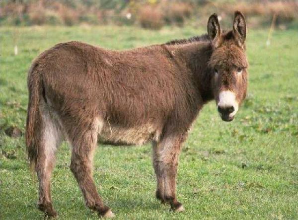 Blagounettes du lundi ... !!!