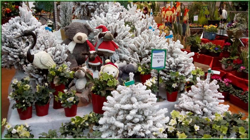 Décorations dans les jardineries pour Noël