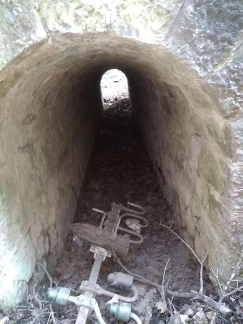Campement abandonné, rebus de cyclo : Forêt à l'Orée de la ville