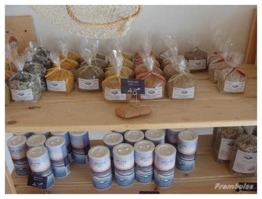 Salines de Millac Les Moutiers en Retz