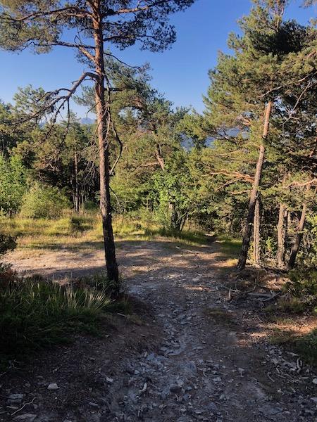 Bois Le Prêtre (Montclar)