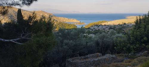 Les chemins de traverse 1/2