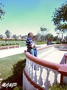rajasthan 1 049marq