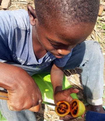 bilan septembre d aristide