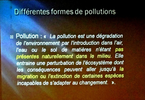 "Pollution lumineuse, impacts sur la faune", une conférence de Julien Taisne  pour l'Association Culturelle Châtillonnaise...