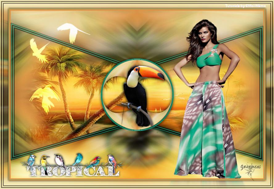 Tropical