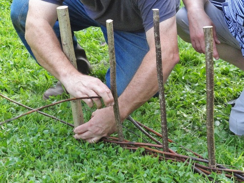 "L'osier au jardin" un stage proposé par Villages Anciens, Villages d'Avenir..