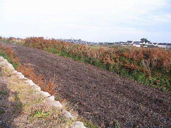 Courageux nos agriculteurs !