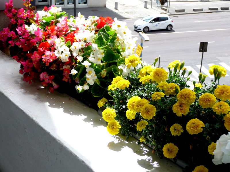 De-ci, de-là, ici et ailleurs ...