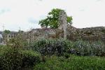 LES REMPARTS DE MONTIVILLIERS (Seine-Maritime)