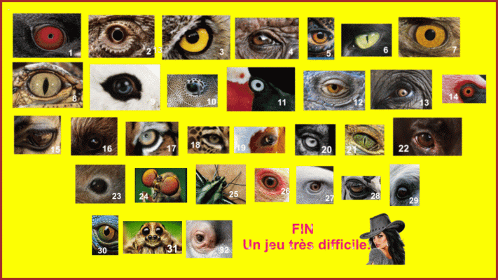 Les Yeux D'animaux ,