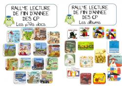 RALLYE LECTURE DE FIN D'ANNEE DES CP