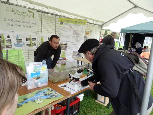 La Fête de l'Automne 2013 à la Maison de la Forêt de Leuglay...