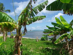 Des SAINTES vers la MARTINIQUE via la DOMINIQUE