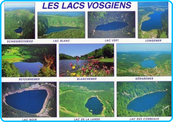 ╰⊱♥⊱╮ღ꧁ Département 88  ꧂ღ╭⊱♥≺