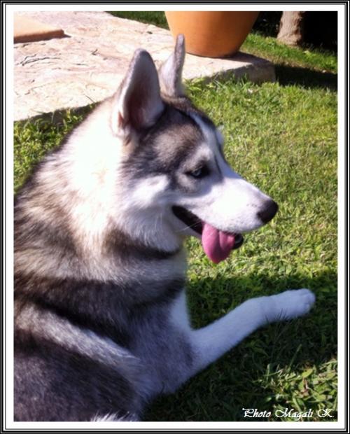 Damon (8 mois)