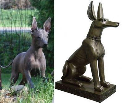 Mystères des temples égyptiens